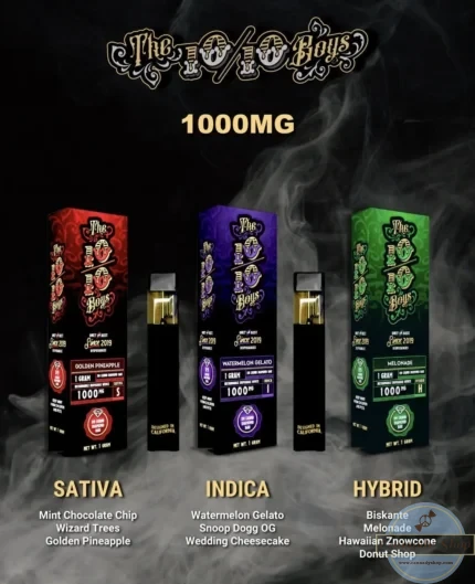 The 10/10 Boys Disposable Vape – 1 Gram